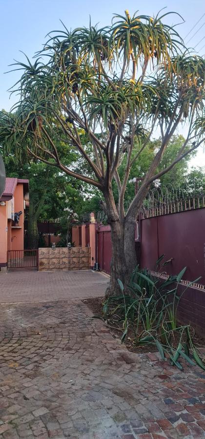 My House Guest House Pretoria-Noord Esterno foto