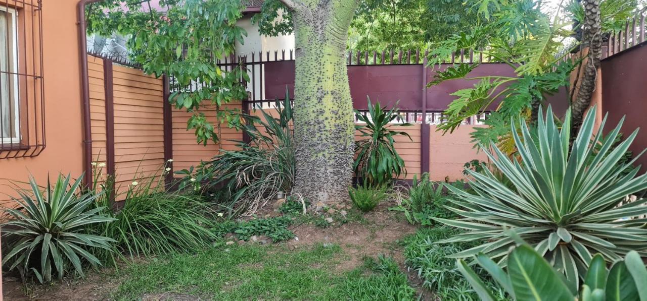 My House Guest House Pretoria-Noord Esterno foto