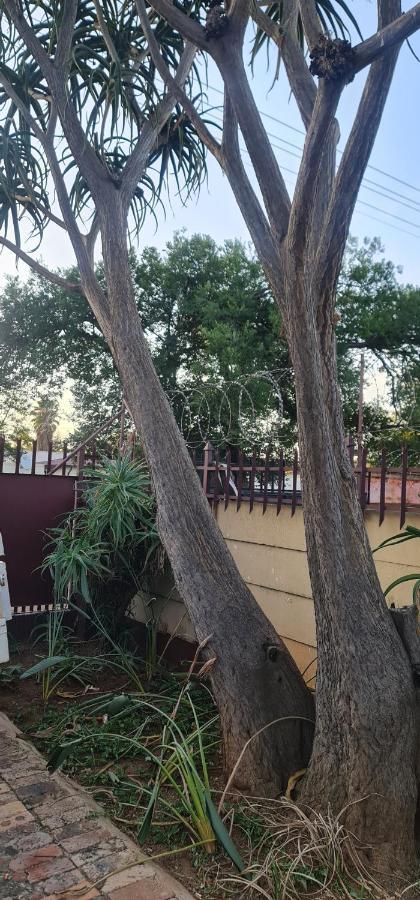 My House Guest House Pretoria-Noord Esterno foto